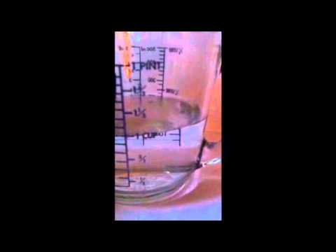 How To Give Hermit Crabs a Salt Bath