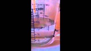How To Give Hermit Crabs a Salt Bath