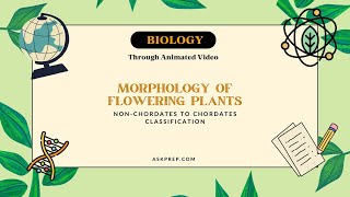 Morphology Of Flowering Plants Explained Root, Stem, Leaf, Flower, Fruit Neet Class 11 Biology