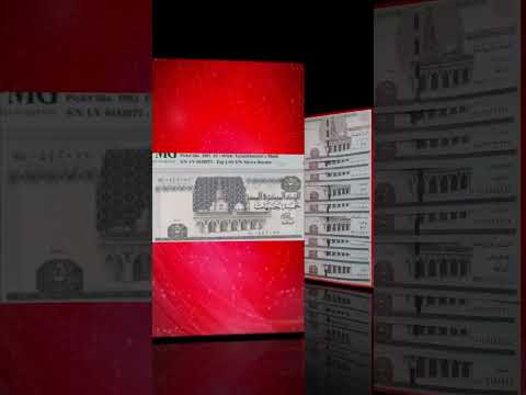 5 كلهاجنية شمس واماكن البيع والسعر سعر سعر