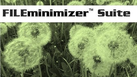 Optimize PDF, Photos, Word, Excel and so on! - FILEminimizer Suite