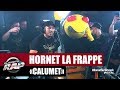 Hornet la frappe calumet planterap