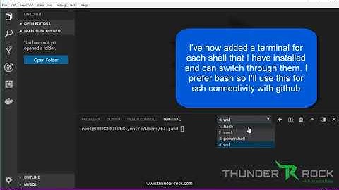 Visual Studio Code - Shells, Git and SSH
