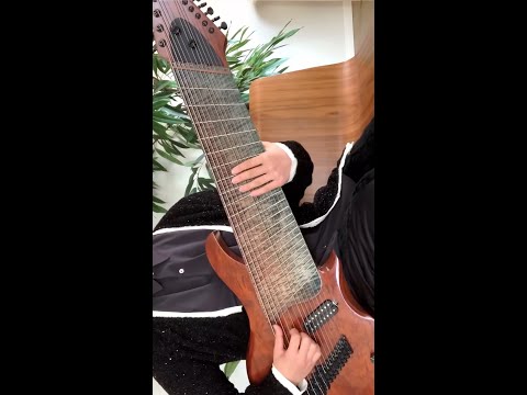  14-string guitar solo  Ichika Nito