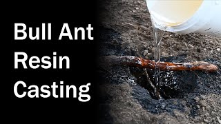 Resin Casting of Giant Brown Bull Ant Nest - Brooloo 20180901 - First Attempt