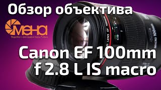 Обзор объектива Canon EF 100mm f 2.8 L IS macro
