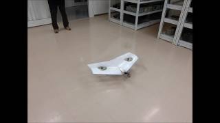Tilt coaxial rotor VTOL