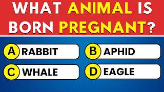 Your Brain Is Sharp If You Score 20+ 🧠 30 General Knowledge Quiz Questions Challenge! 🎓