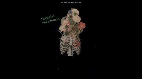 (ولقد نعلم أنك يضيق صدرك بما يقولون) بصوت القارئ #هزاع_البلوشي  #القرآن_الكريم 💚