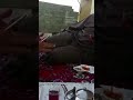 اجل خذ واعطي معه هههههههههه اجل خذ واعطي معه هههههههههه