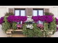 Best Small Balcony Garden Design Ideas - Beautiful House