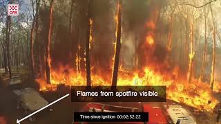 Celebrity Fire Behaviour: Observation & Training Net Worth