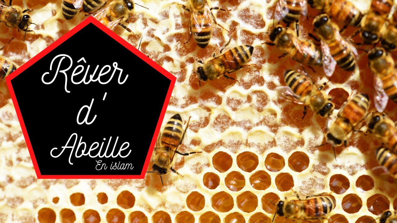 Interpretation Et Signification Du Reve Abeille En Islam Youtube