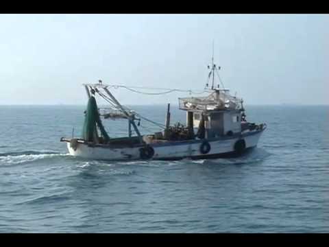 Video: Partneri I Peshkimit