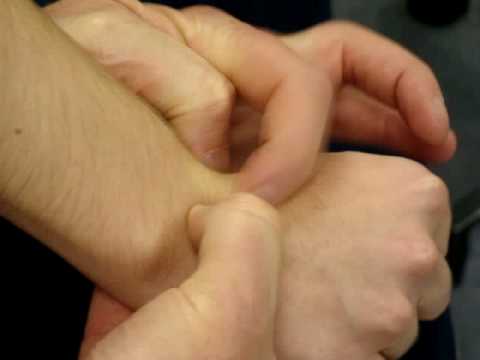 extensor carpi radialis and brevis youtube