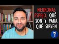 Para qué sirven las neuronas espejo