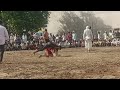 Girl vs boy jindoli kushti dangal194024