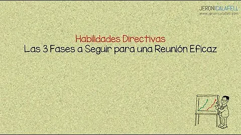 ¿Cuáles son las 3 fases de una habilidad?