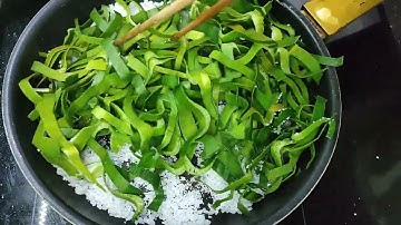 CÔNG DỤNG CỦA LÁ NÁNG TRỊ ĐAU LƯNG