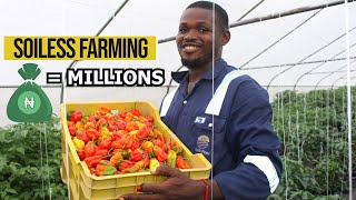 See how Nigerians make lots of cash from Soilless farming (Hydroponics) - All you need to Know!