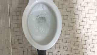 6,663. Tydings Hall Men’s Restroom