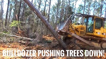 John Deere 850C pushing trees down