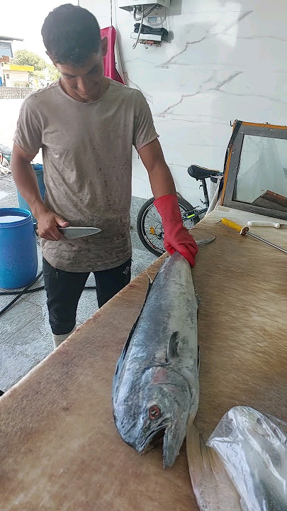 Unbelievably Easy Dolphinfish Cleaning Technique Unveiled!