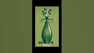سورة النمل #quran #دويتو #duet #دعاء #صباحالخير #تيك_توك #دعاءمستجاب #لايك #حالاتواتس #راحة_نفسية