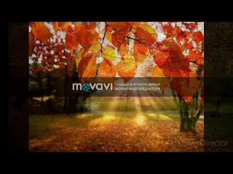 Пісня Золотава осінь Ілля Найда