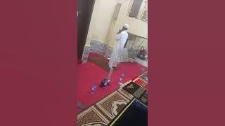 Daily Recitation - Qiyamul Layl [سورة القصص] |Hafidh Ridwanullah| #seo