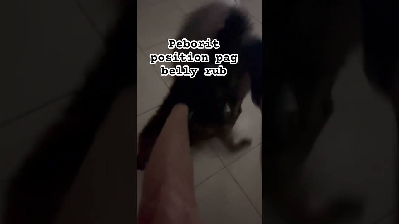 Tuwad pa more tubs | nakiliti ba sya o anong position yan?🤣🤣🤣