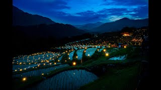 1 Jam Suara Sawah Di Malam Hari Suara Pengantar Tidur Buat Hati Tenang