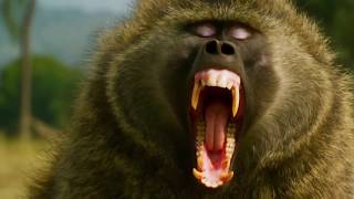 Intervalo Globo Repórtermáquina Mortífera - Rbs Tv 200919