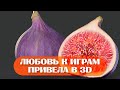 О том как любовь к видеоиграм привела на КУРС ПО 3D-графике. Мишина Ася о Skills Up School