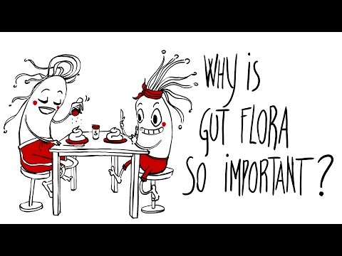 antonie van leeuwenhoek on Tumblr