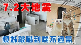 【豆漿 - SoybeanMilk】規模7.2大地震 豆漿被嚇到喘不過氣... image