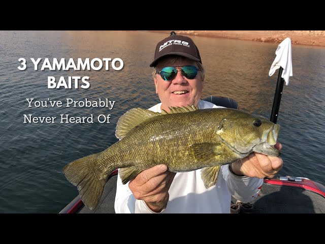 3 Unmentioned YAMAMOTO Baits Testing - Surprising Results! 