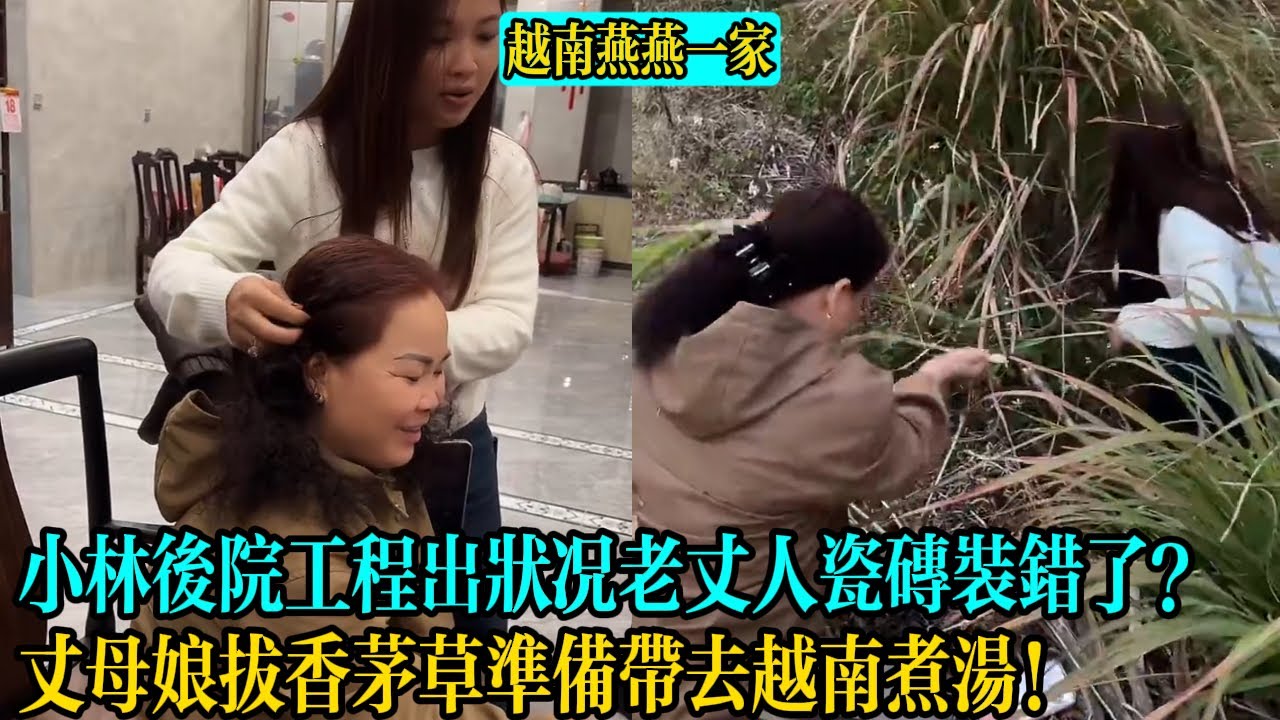 【越南燕燕一家】小林後院工程出狀況老丈人瓷磚裝錯了？丈母娘拔香茅草準備帶去越南煮湯！