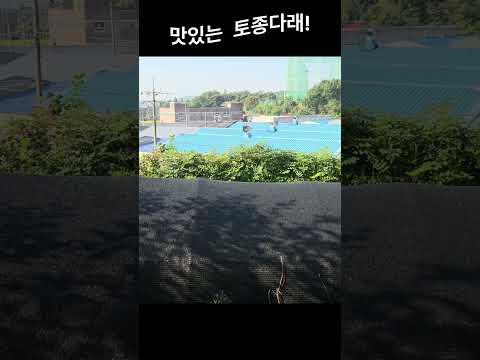 맛있는 토종다래 #텃밭가꾸기 #자연순환농법 #유기농 #토종다래