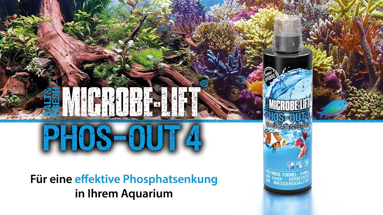Der Phosphatabsorber für Dein Aquarium - LANTHAN-FREI - 𝐌𝐈𝐂𝐑𝐎𝐁𝐄-𝐋𝐈𝐅𝐓 𝐏𝐡𝐨𝐬-𝐎𝐮𝐭 𝟒 (𝐟𝐥ü𝐬𝐬𝐢𝐠) - erklärt.