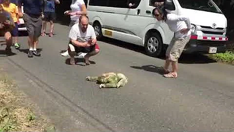 The Extreme life of a Sloth