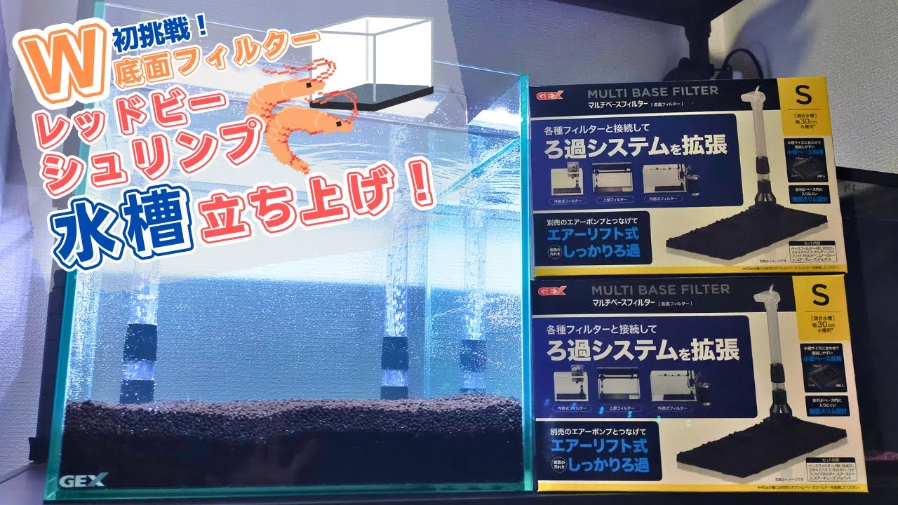 30cmキューブ水槽でレッドビーシュリンプ水槽立ち上げ！《W底面フィルター仕様》【アクアリウム】