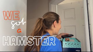 GETTING A HAMSTER 🐹