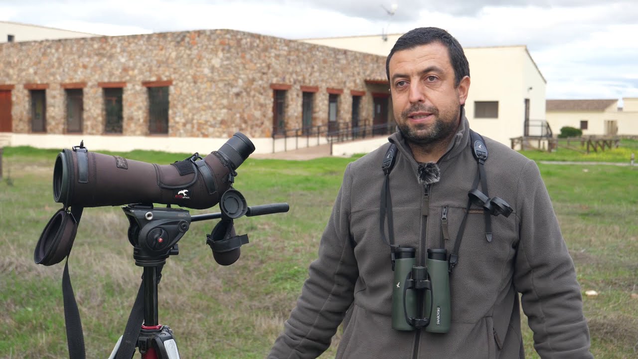 Observación de Grullas (Festival de las Grullas 2020)