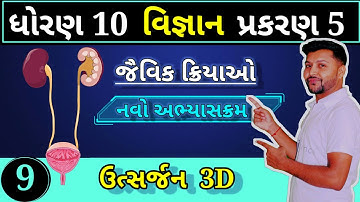 ઉત્સર્જન ધોરણ 10 વિજ્ઞાન | Excretion in gujarati | std 10 science ch 5