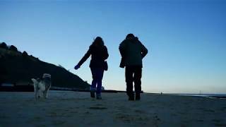 30th December 2019  Cromer, Finn, last beach walk of the year. by James Anderson 90 views 4 years ago 5 minutes, 42 seconds