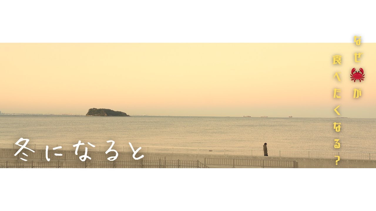 ASMR｜横須賀 カニ、絶景スタバ｜冬の音で整える日