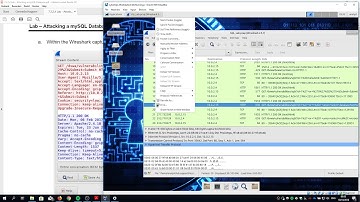 7.3.2.4 Lab - Attacking a mySQL Database