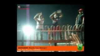 BOROMANIA - Indonesian Football Supporters