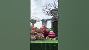 SUPERTREES Gardens by the bay Singapore 2024